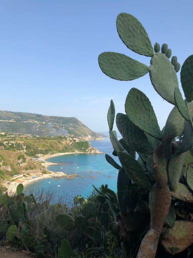 La Marinette Lejlighed Tropea Eksteriør billede
